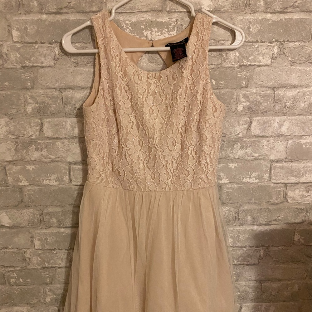 LACE AND TUULE MINI DRESS
